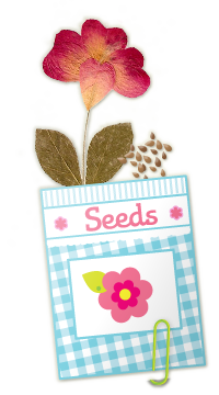 Pressed flower and seed pack