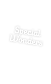 Special Wonders